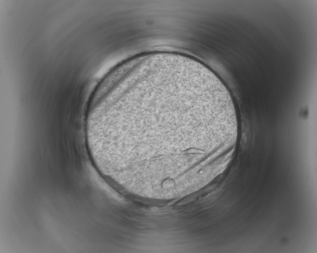X0000112091384200909151126