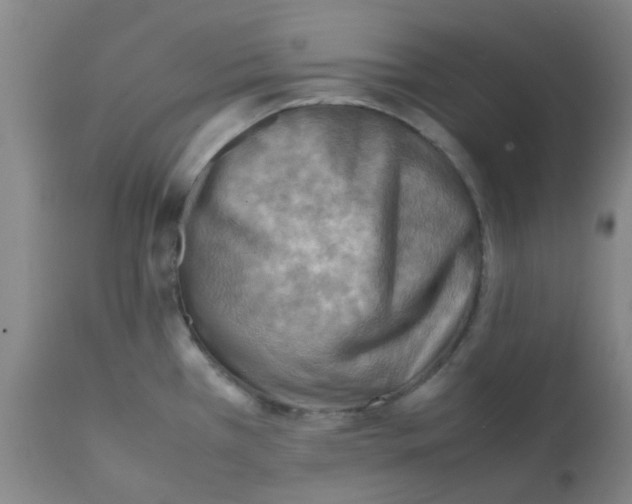X0000112091385200909151126