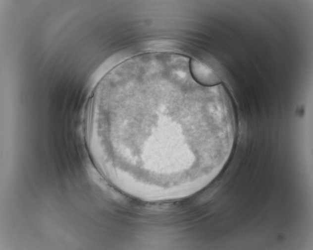 X0000112091386200909151126