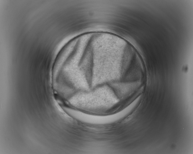 X0000112091388200909151126