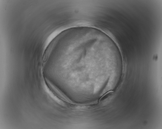 X0000112091389200909151126
