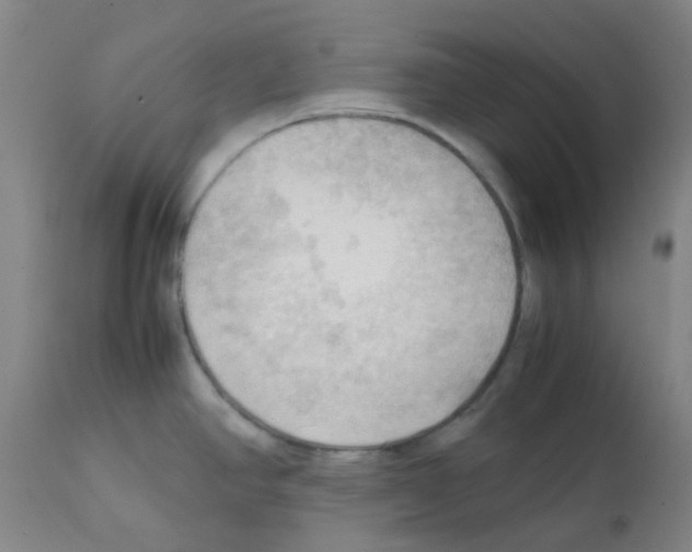 X0000112091390200909151126