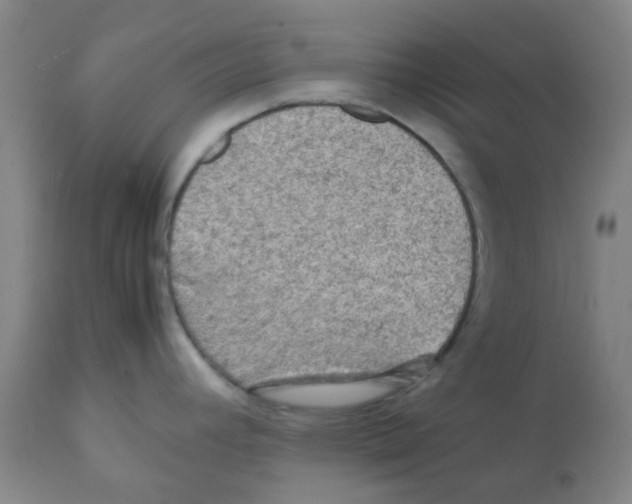 X0000112091392200909151126