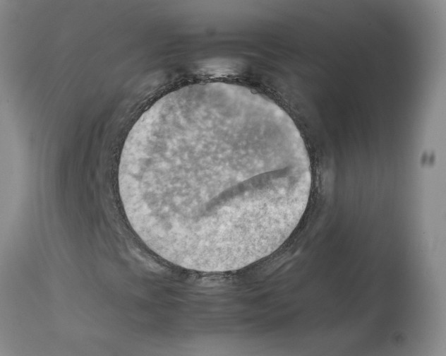 X0000112091393200909151125