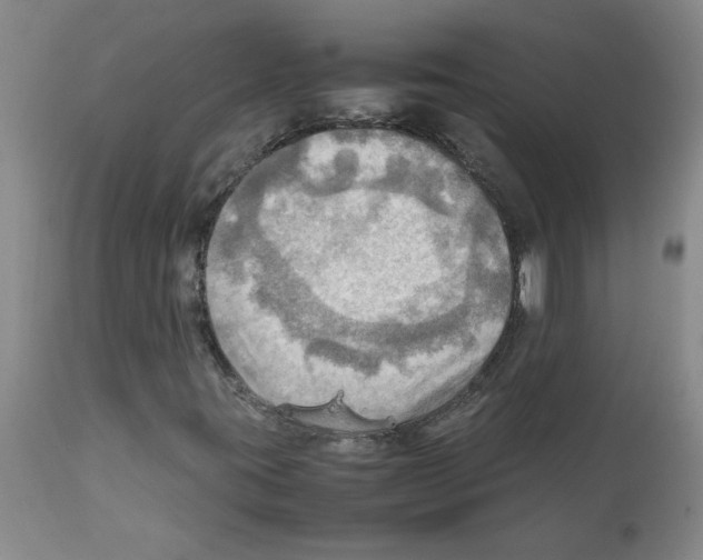 X0000112091395200909151126