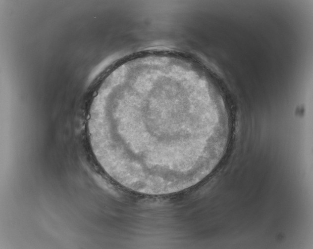 X0000112091400200909151126