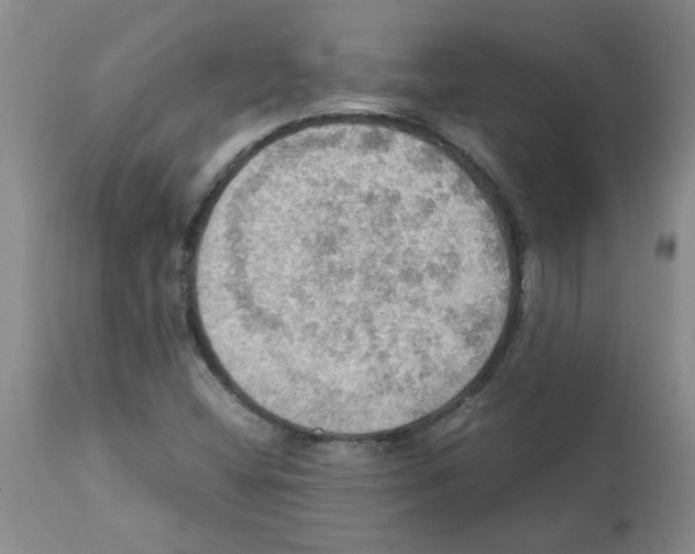 X0000112091404200909151126