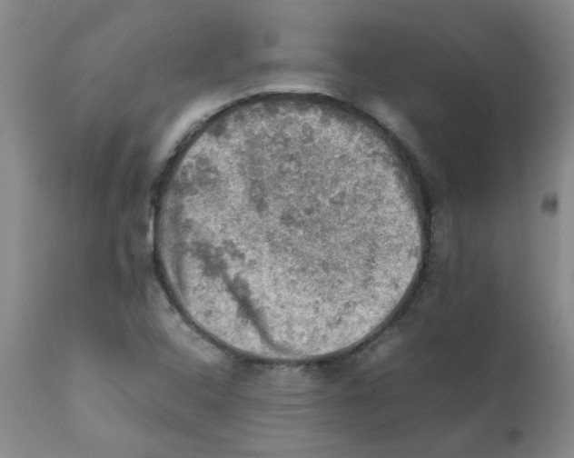 X0000112091408200909151126