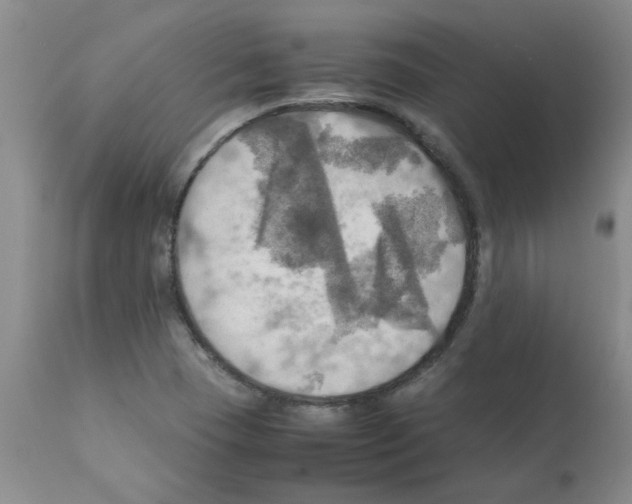 X0000112091409200909151126