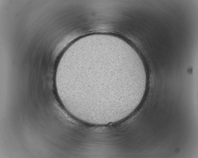 X0000112091410200909151126