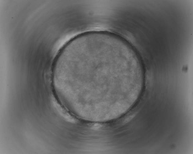 X0000112091412200909151126