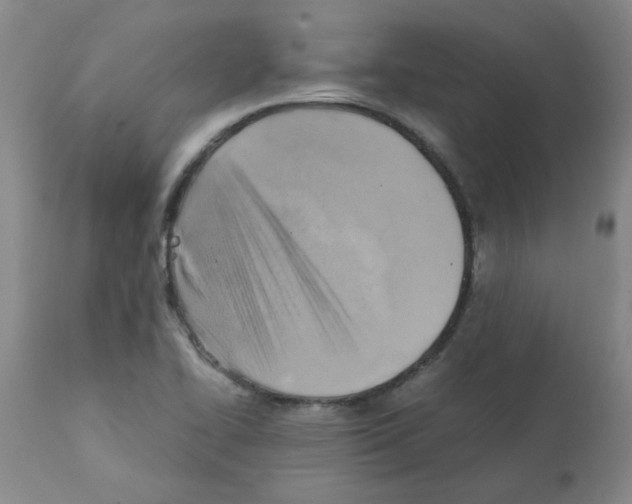 X0000112091414200909151126