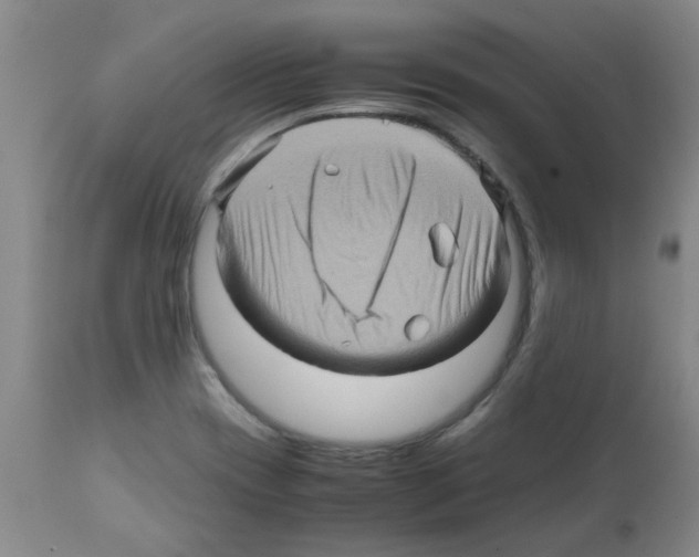 X0000112091417200909151126