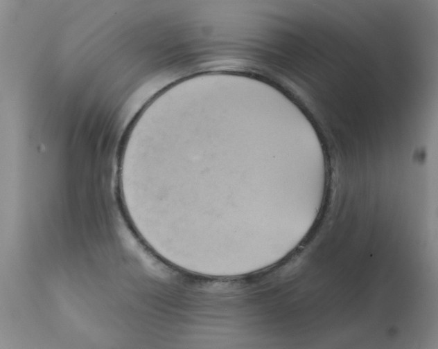 X0000112091418200909151126