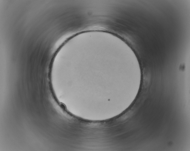 X0000112091422200909151126