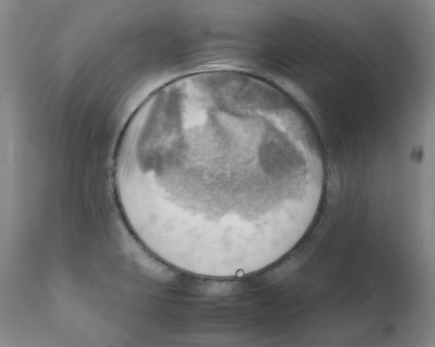 X0000112091423200909151126