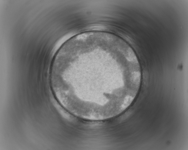 X0000112091426200909151126