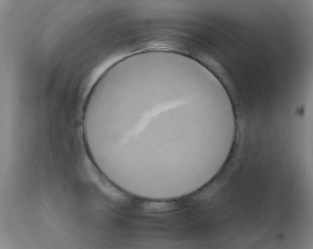 X0000112091427200909151126