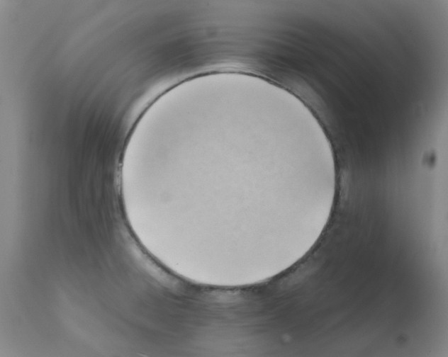 X0000112091428200909151126
