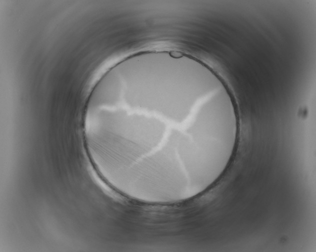 X0000112091429200909151126