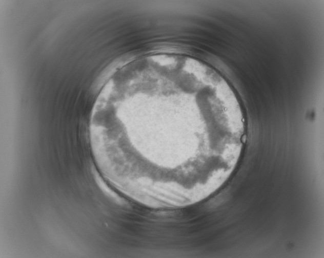 X0000112091433200909151126