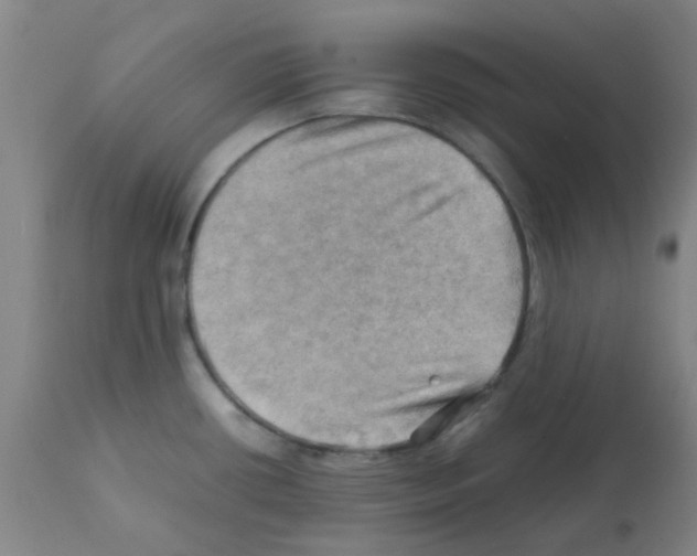X0000112091434200909151126