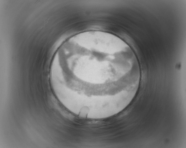 X0000112091435200909151126
