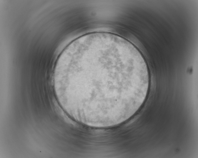 X0000112091436200909151126