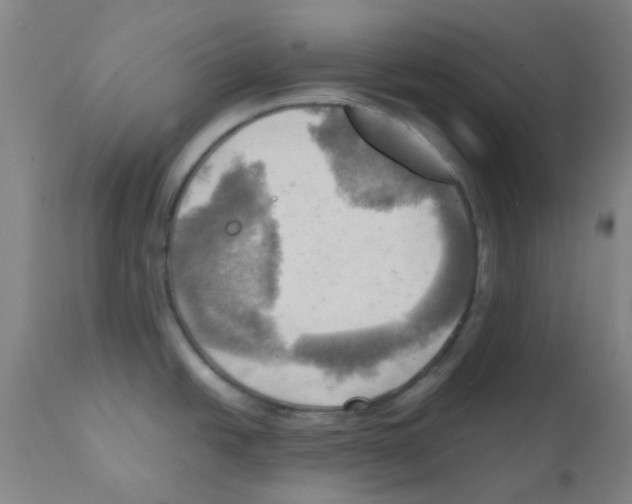 X0000112091438200909151126