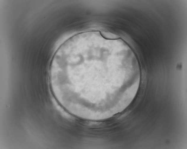 X0000112091439200909151126