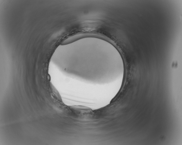X0000112091441200909151125