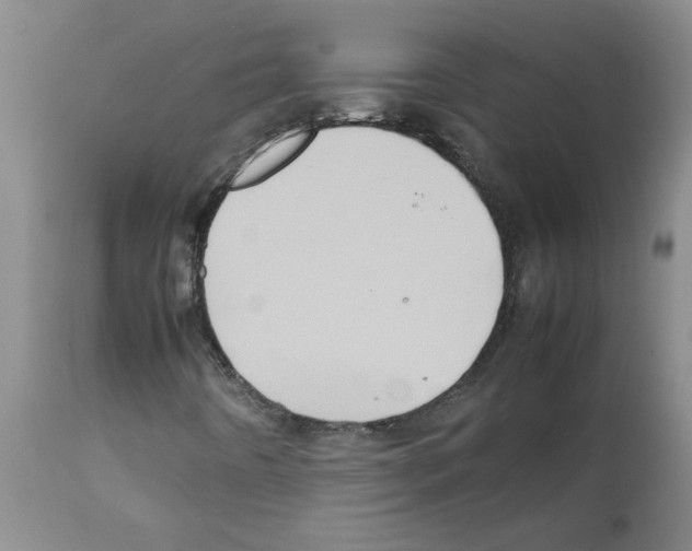 X0000112091442200909151125