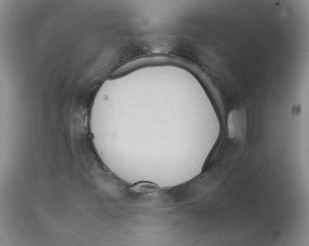 X0000112091443200909151125