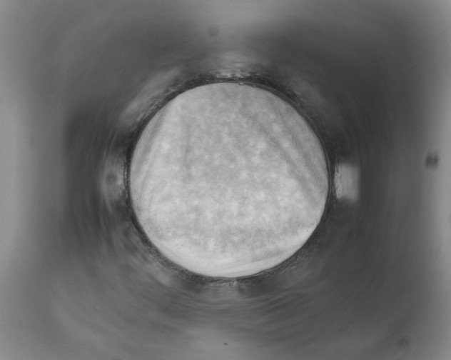 X0000112091444200909151125