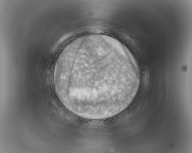 X0000112091446200909151125