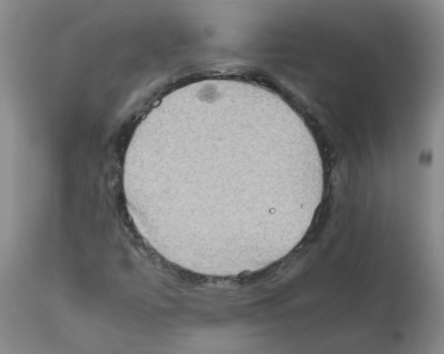 X0000112091447200909151125