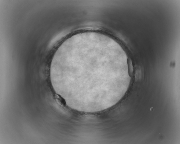 X0000112091448200909151125