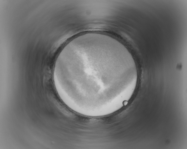 X0000112091449200909151125