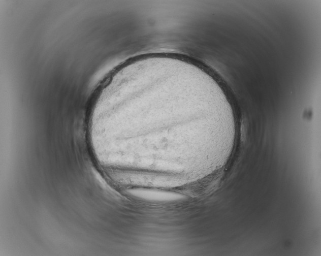 X0000112091452200909151125
