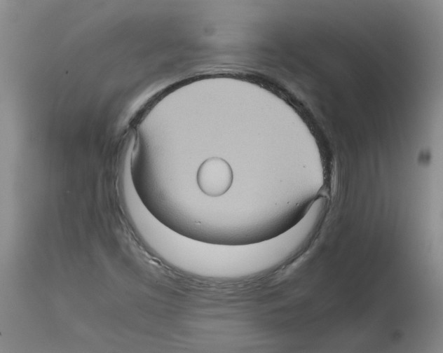 X0000112091453200909151125