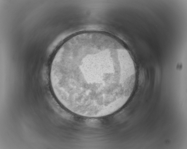 X0000112091454200909151125