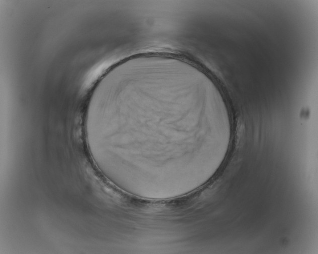 X0000112091455200909151125