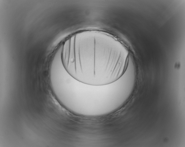 X0000112091456200909151125