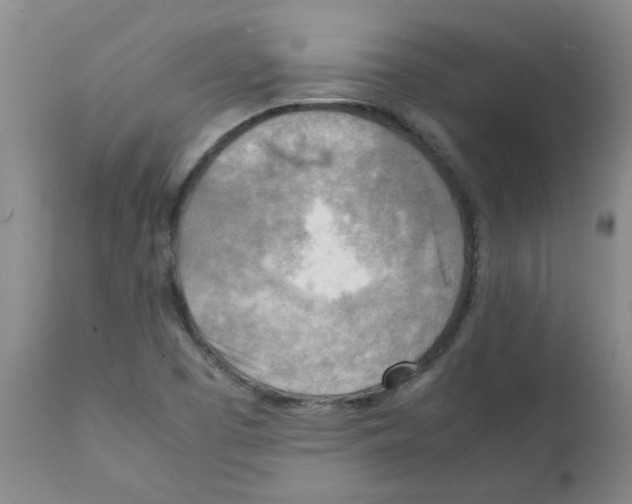 X0000112091457200909151125