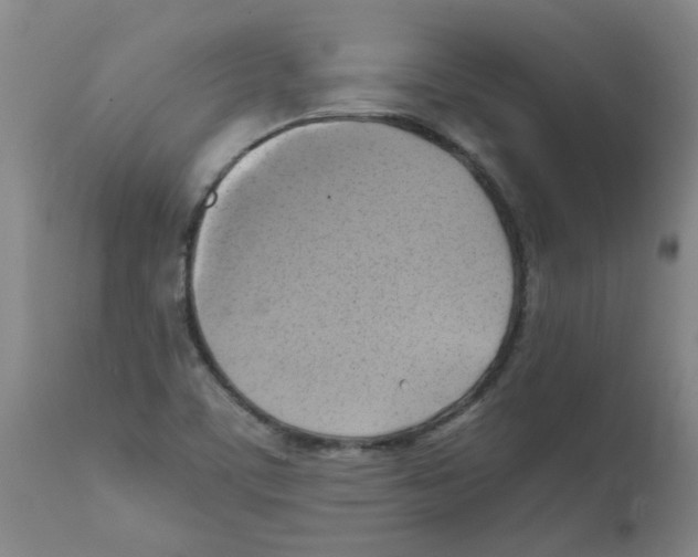 X0000112091459200909151125
