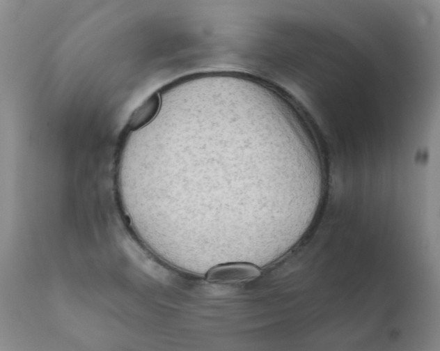 X0000112091460200909151125