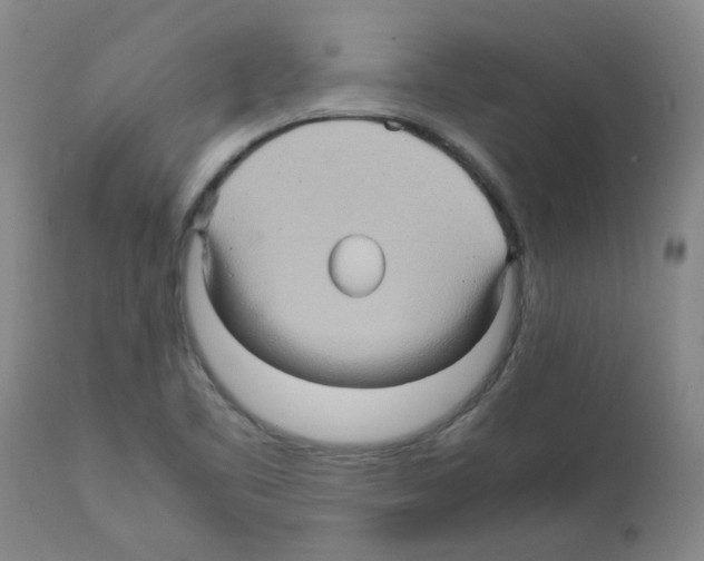 X0000112091461200909151125