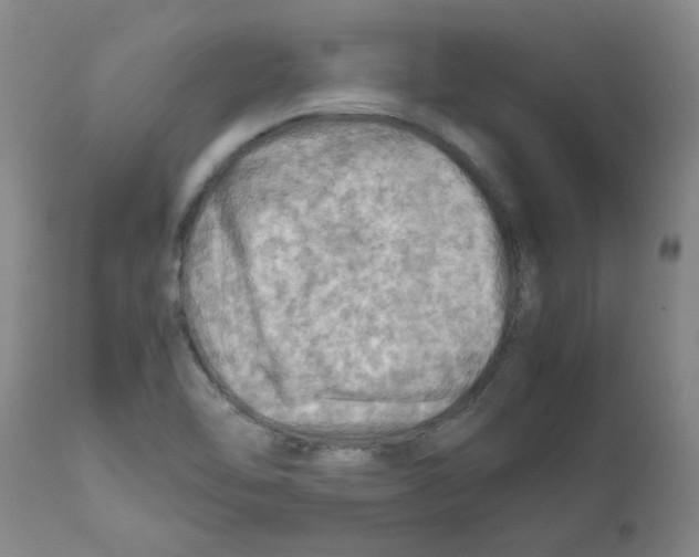 X0000112091462200909151125