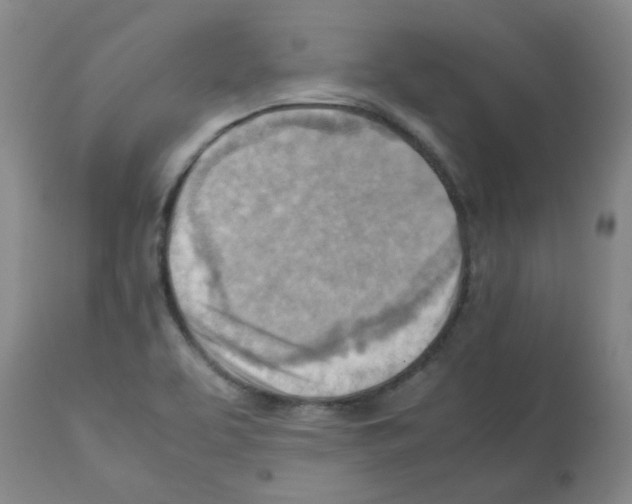 X0000112091463200909151125