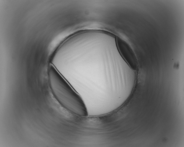 X0000112091464200909151125